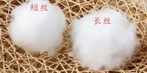 What is the difference between kapok fiber and cotton fiber (both are natural cellulose fibers)