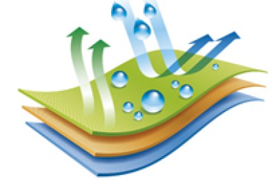 Section 2: The principles and types of edge twisting of electronic edge twisters