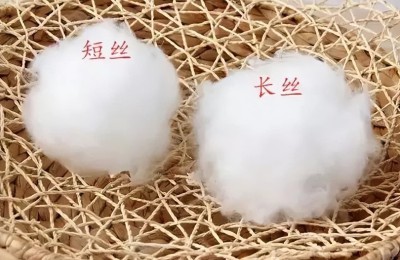 What is the difference between kapok fiber and cotton fiber (both are natural cellulose fibers)