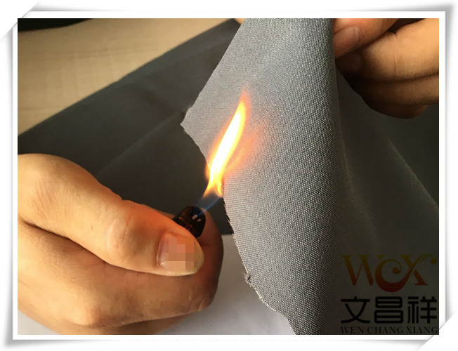 Fire retardant and flame retardant fabric